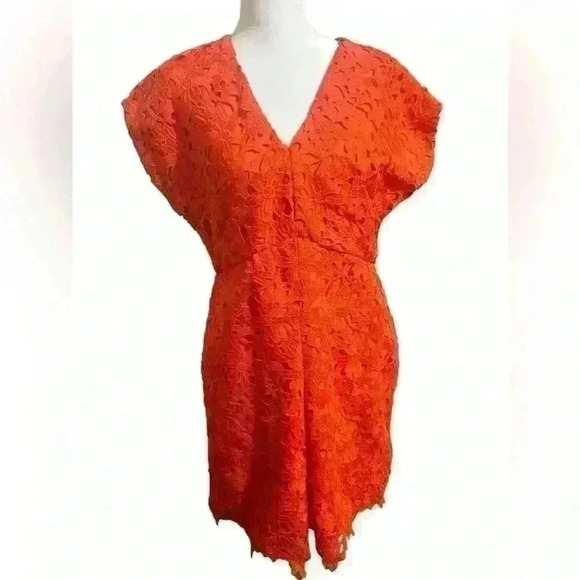 Banana Republic Size 8 Orange Lace Pleated Short Sleeve V-Neck Sheath Dress - Picture 2 of 10